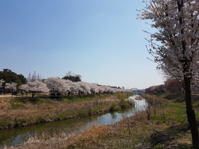 황구지천